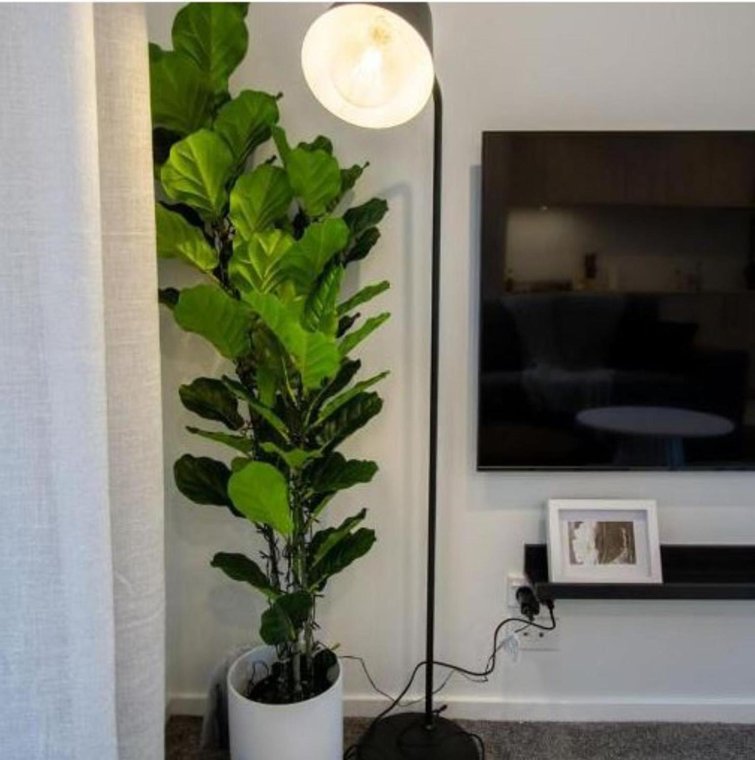 דירות כרייסטצ'רץ' A Touch Of Luxury In Chch Cbd מראה חיצוני תמונה